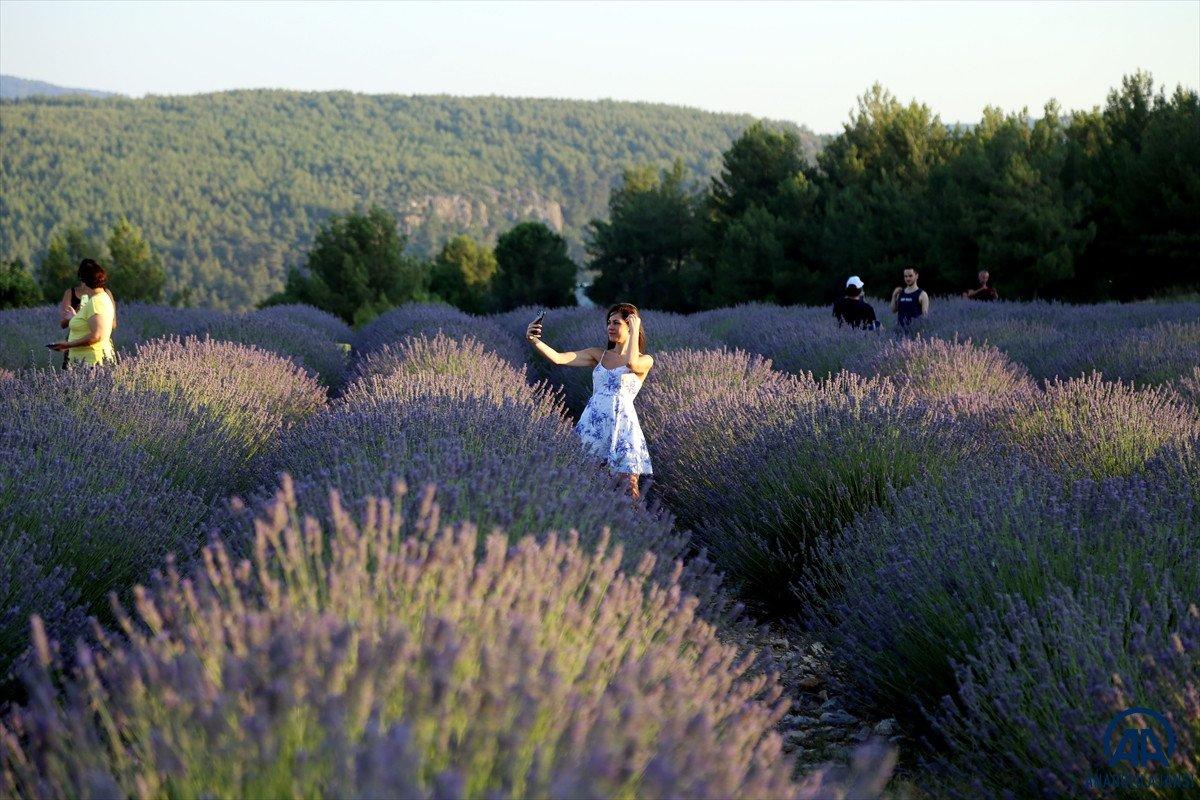 Muğla'da lavanta bahçeleri misafirlerini ağırladı
