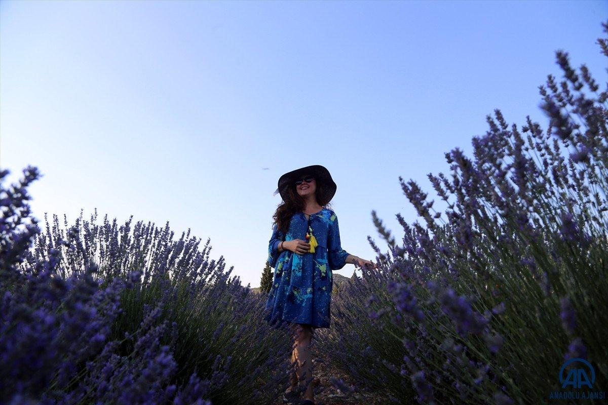 Muğla'da lavanta bahçeleri misafirlerini ağırladı