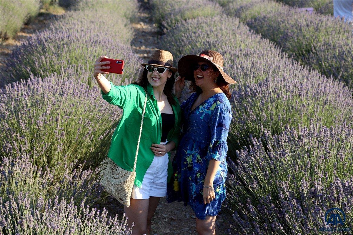 Muğla'da lavanta bahçeleri misafirlerini ağırladı