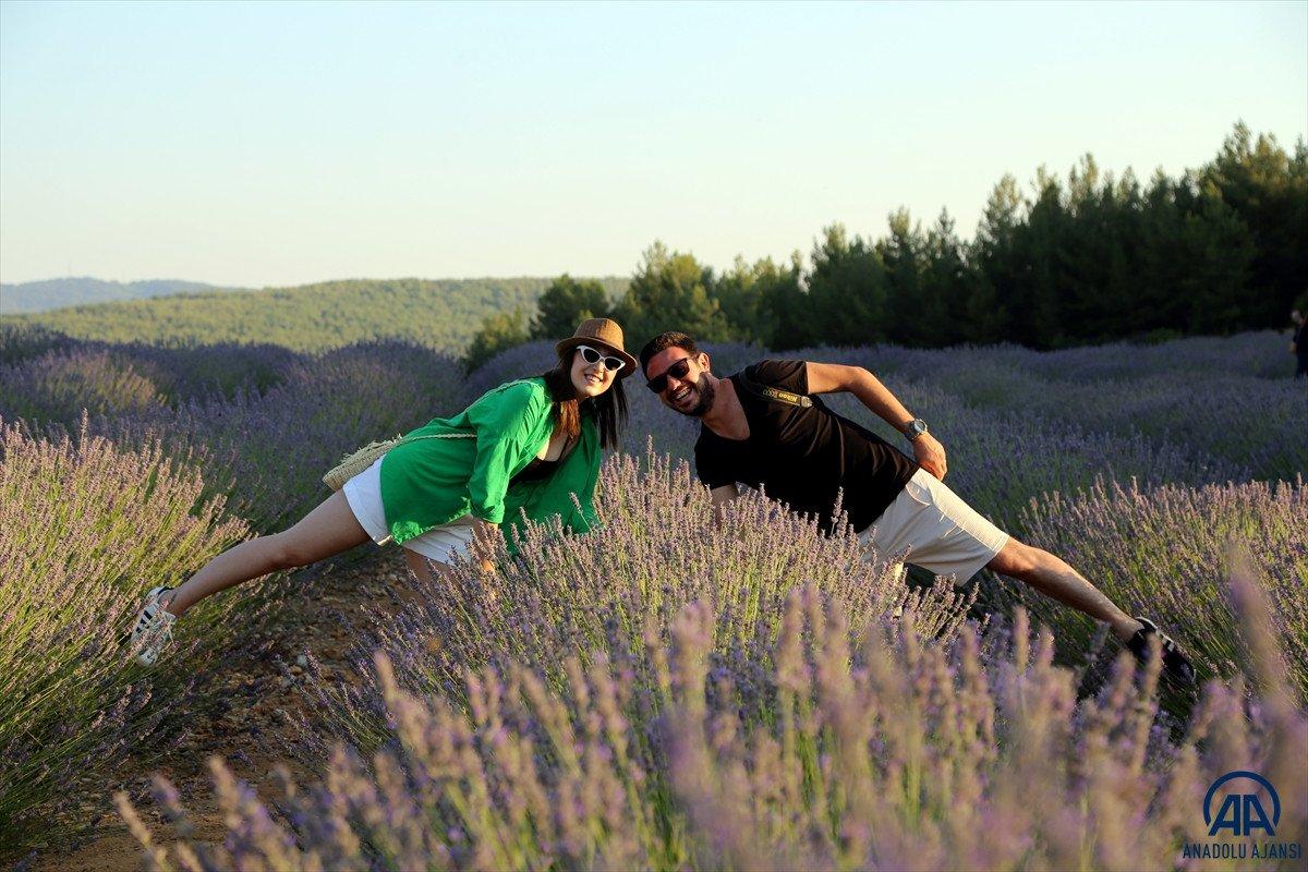 Muğla'da lavanta bahçeleri misafirlerini ağırladı