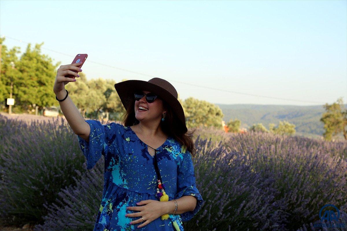 Muğla'da lavanta bahçeleri misafirlerini ağırladı