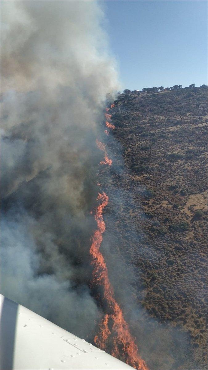 İzmir Aliağa’da otluk alanda yangın