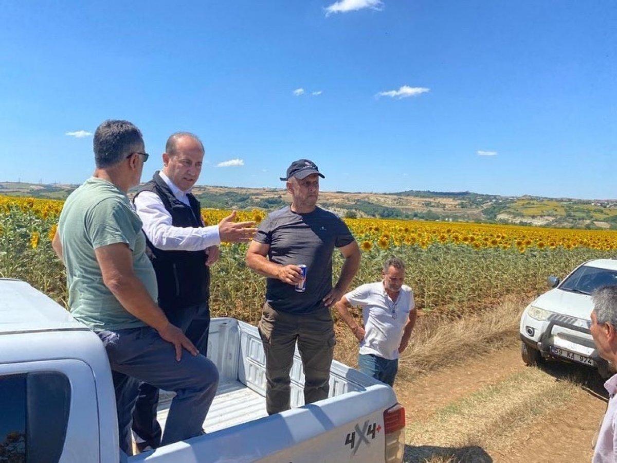 Trakya'da istilacı çayır tırtılını inceleme çalışmaları başladı