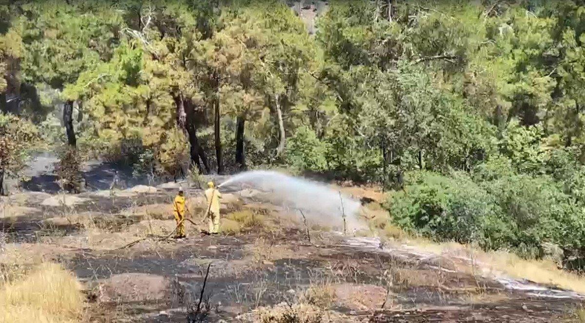 Manisa'daki yangında 10 dönüm alan zarar gördü