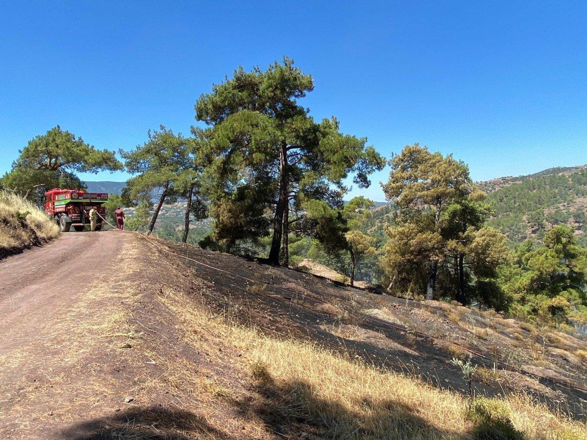 Manisa'daki yangında 10 dönüm alan zarar gördü