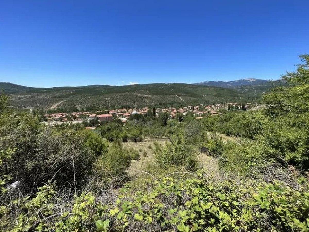 Kütahya'da bir çoban ayı saldırısına uğradı