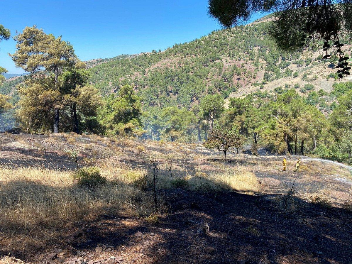 Manisa'daki yangında 10 dönüm alan zarar gördü