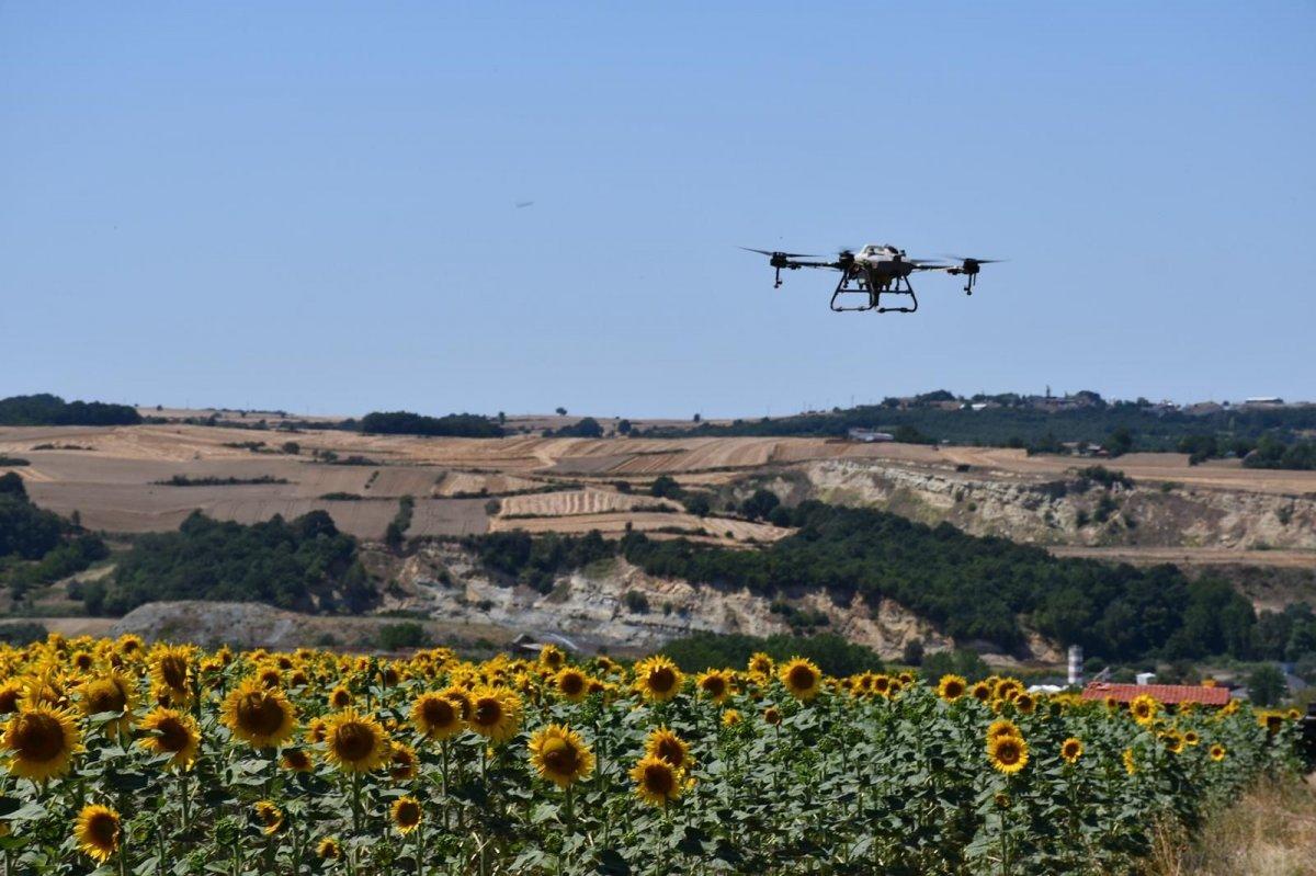 Tekirdağ’da tırtıl istilası: Dron ile operasyon başlatıldı