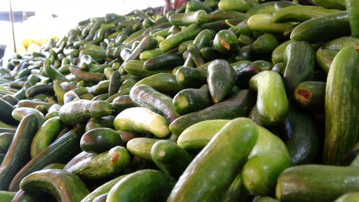 Mahsuller bollaştı, sebze fiyatları düşmeye başladı