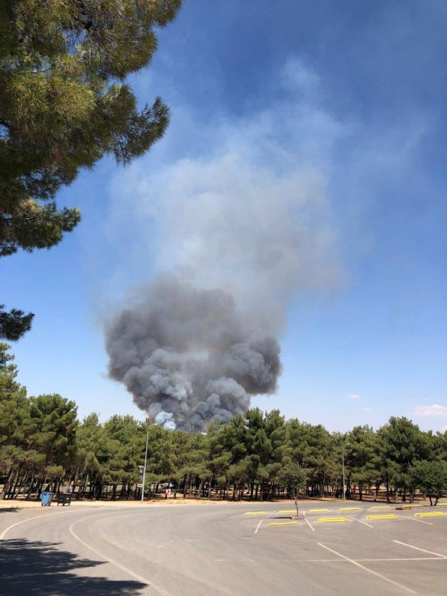 Gaziantep'te başlayan orman yangını kontrol altına alındı