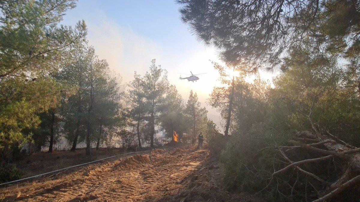 Aydın'daki orman yangınında 30 hektar kül oldu