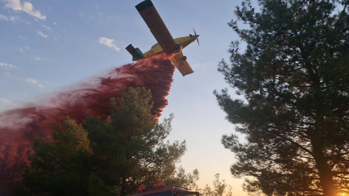 Aydın'daki orman yangınında 30 hektar kül oldu