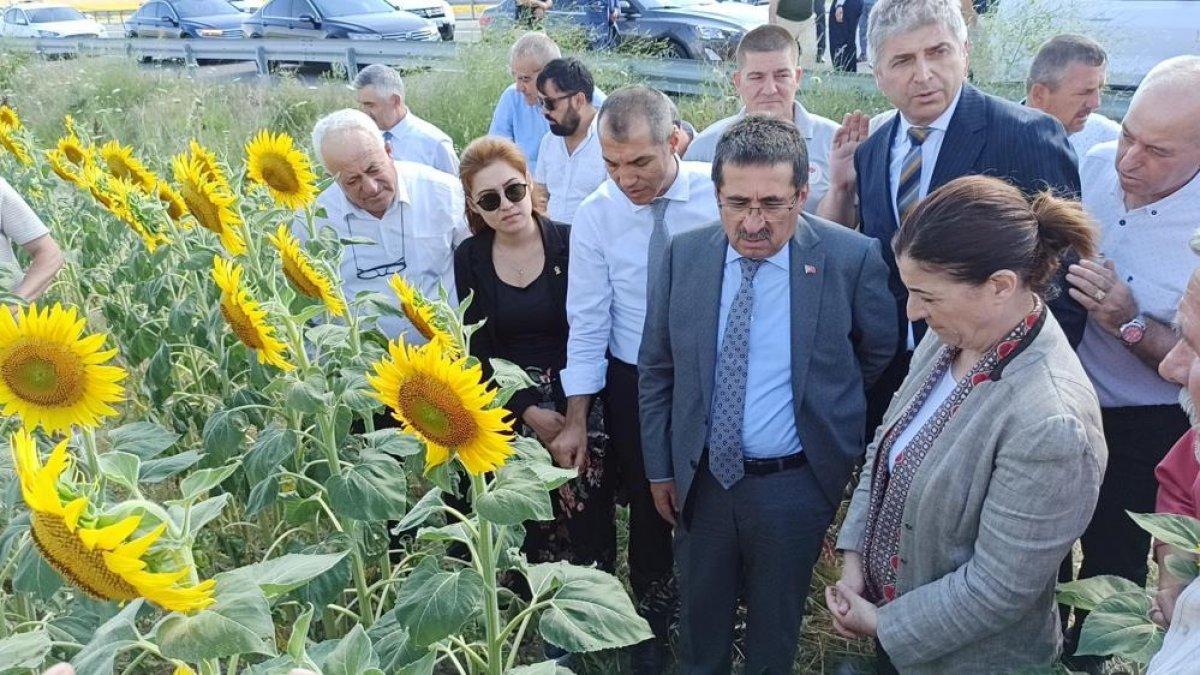 Tarım Bakanlığı: Tırtıl istilası rekolte kaybına neden olmayacak