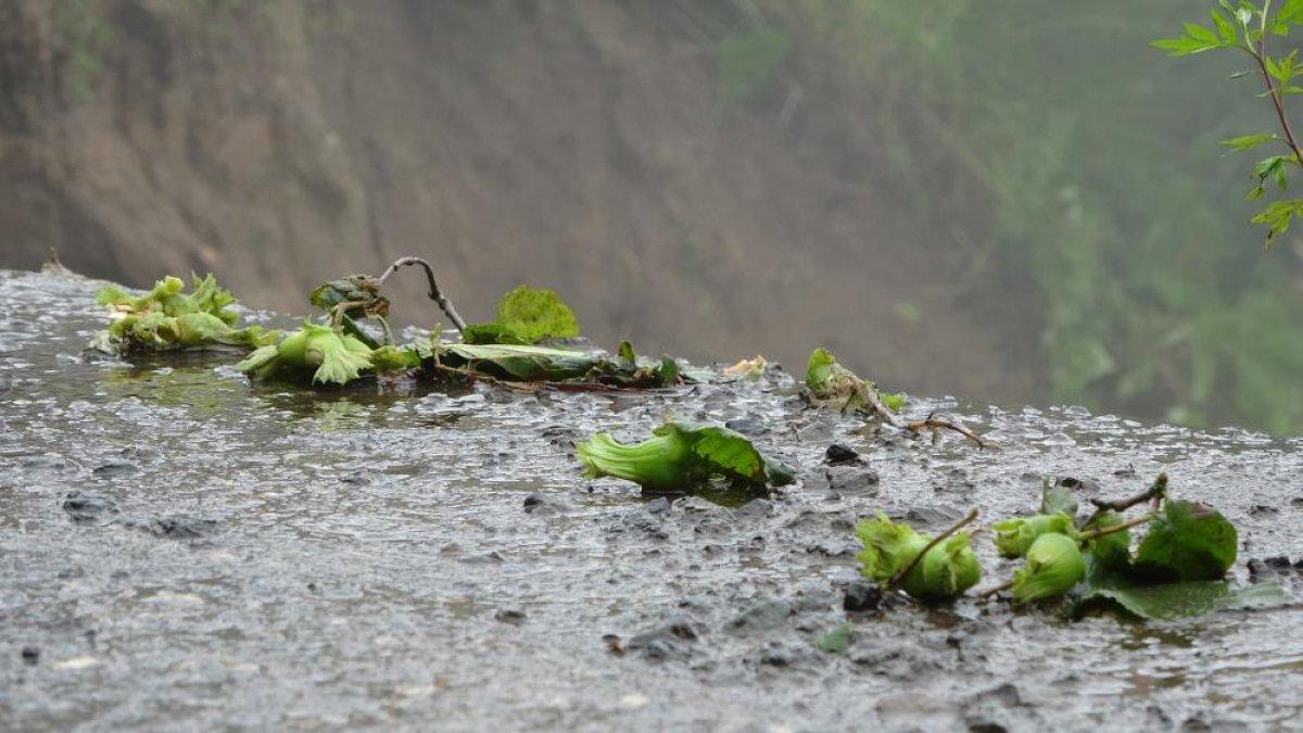 Ordu'da heyelan: 4 ev hasar gördü