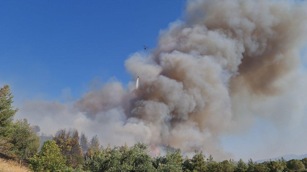 Aydın'daki orman yangınında 30 hektar kül oldu