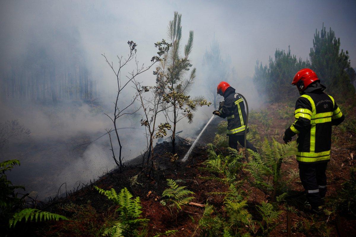 Fransa'da orman yangınlarına müdahale, tartışmaya yol açtı