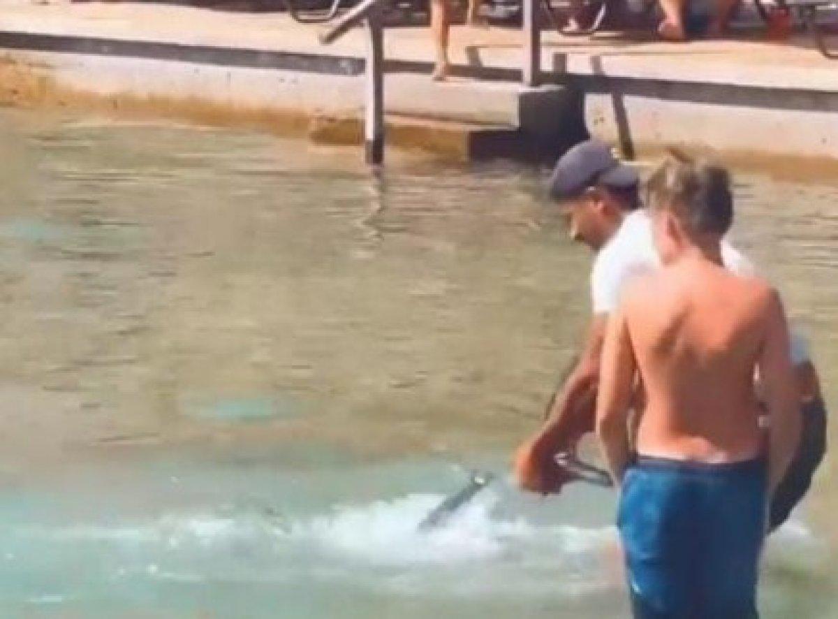 Marmaris'te bir kişi sahilde gördüğü balığı eliyle yakaladı