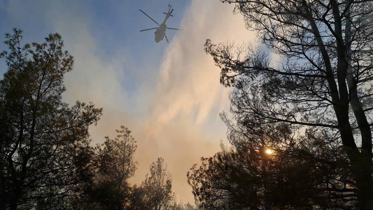 Aydın'daki orman yangınında 30 hektar kül oldu