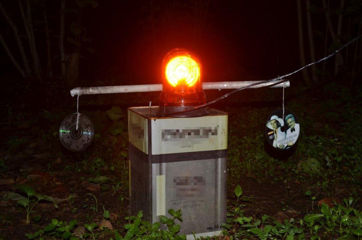 Ordulu'nun domuz kaçırma düzeneği işe yaradı