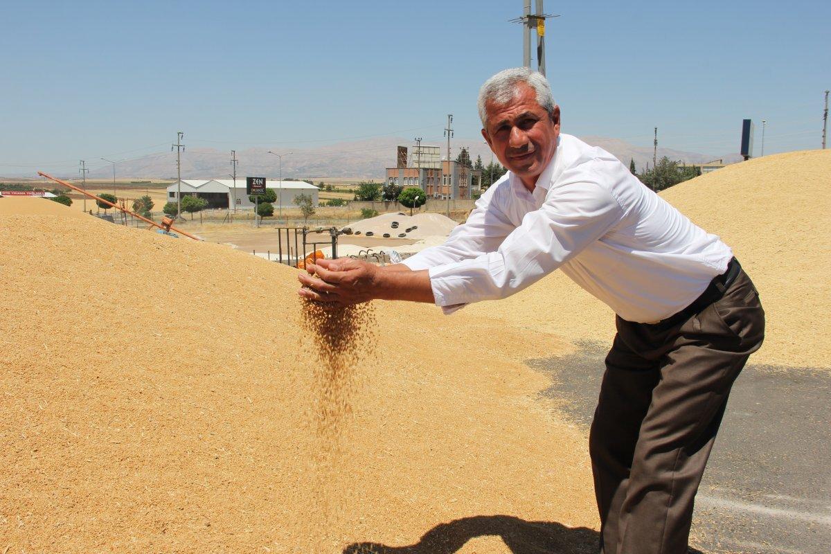 Yurt dışına buğday satıldığı iddiasının yalan olduğu ortaya çıktı