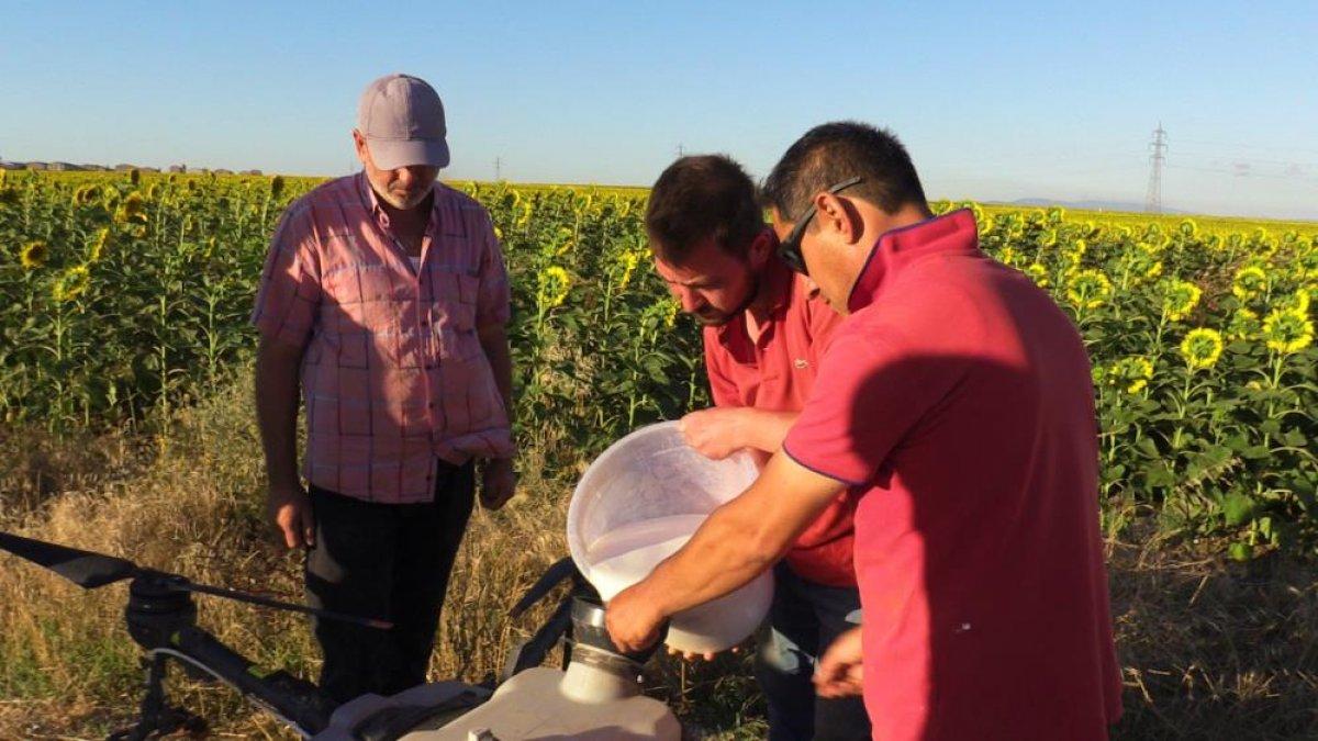 Balıkesirli çiftçilerden dron ile ilaçlamaya yoğun ilgi