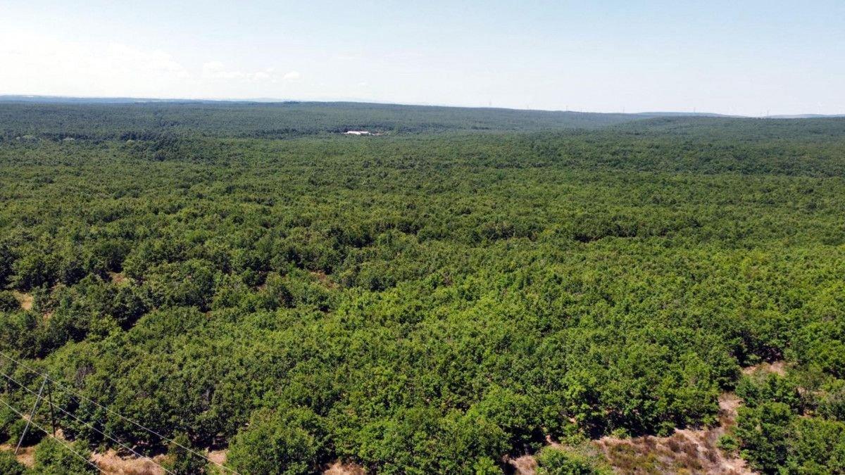 Tekirdağ'da 8 gündür kayıp olan Şehmus Ele sağ olarak bulundu