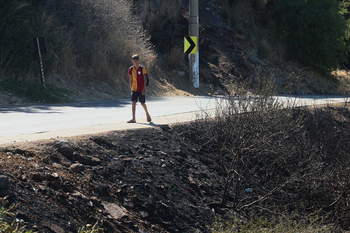 Çeşme’de yanan otluk alanda soğutma çalışmaları sürüyor