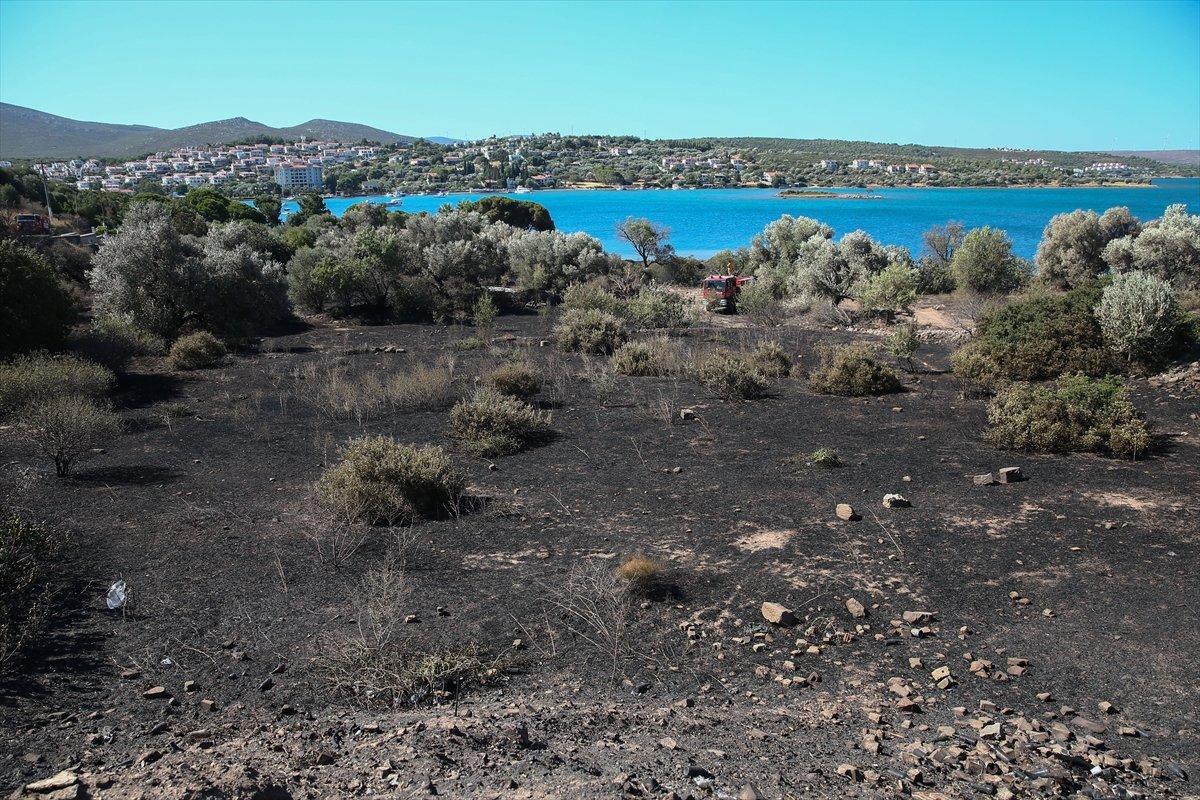 Çeşme’de yanan otluk alanda soğutma çalışmaları sürüyor
