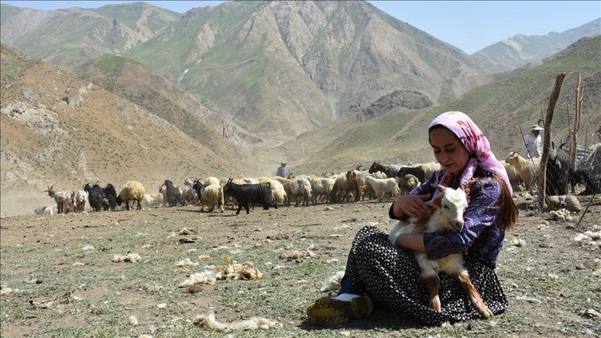 Hakkari'de iki üniversite mezunu genç kadın, hayvancılıktaki başarısıyla örnek oldu