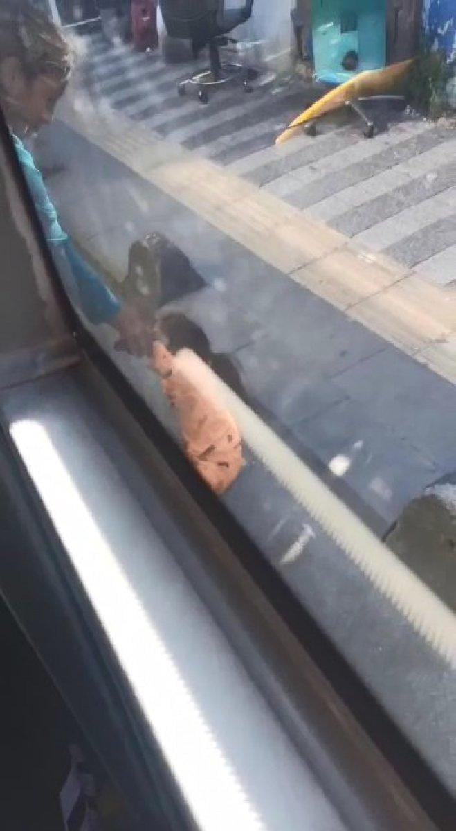 Sarıyer'de çocuğunu döverek otobüsten atan kadına yolcular tepki gösterdi