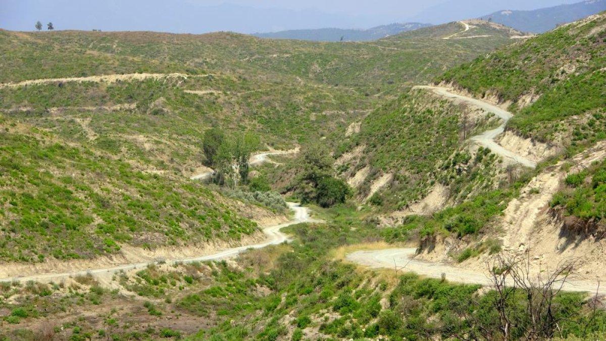 Osmaniye’de yanan ormanlık alan yeşermeye başladı