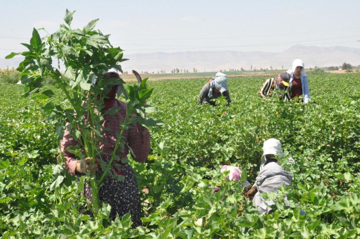 Mardin'de 45 derece sıcaklıkta çalışan öğrenciler: Herkes tatilde biz çalışıyoruz