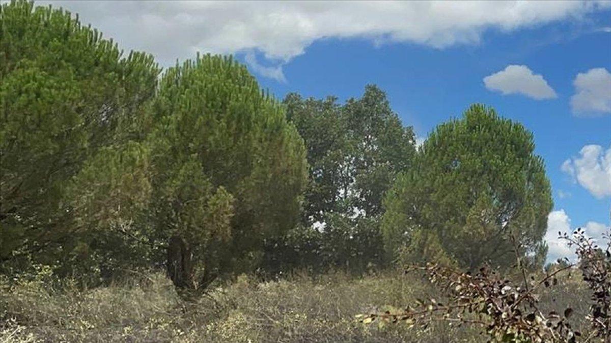 İçişleri Bakanlığı'ndan orman yangınlarına karşı genelge