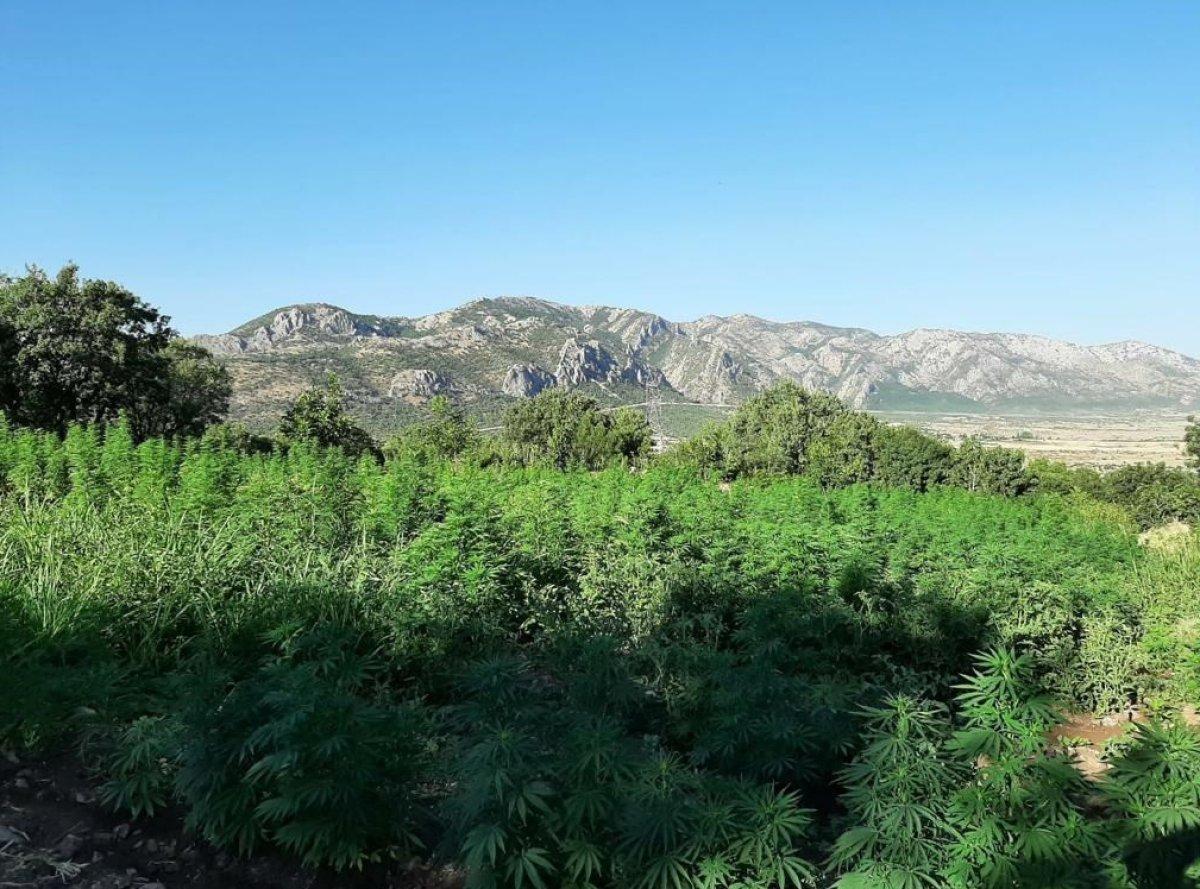 İçişleri Bakanlığı: Diyarbakır'da Eren Abluka-23 operasyonu başlatıldı