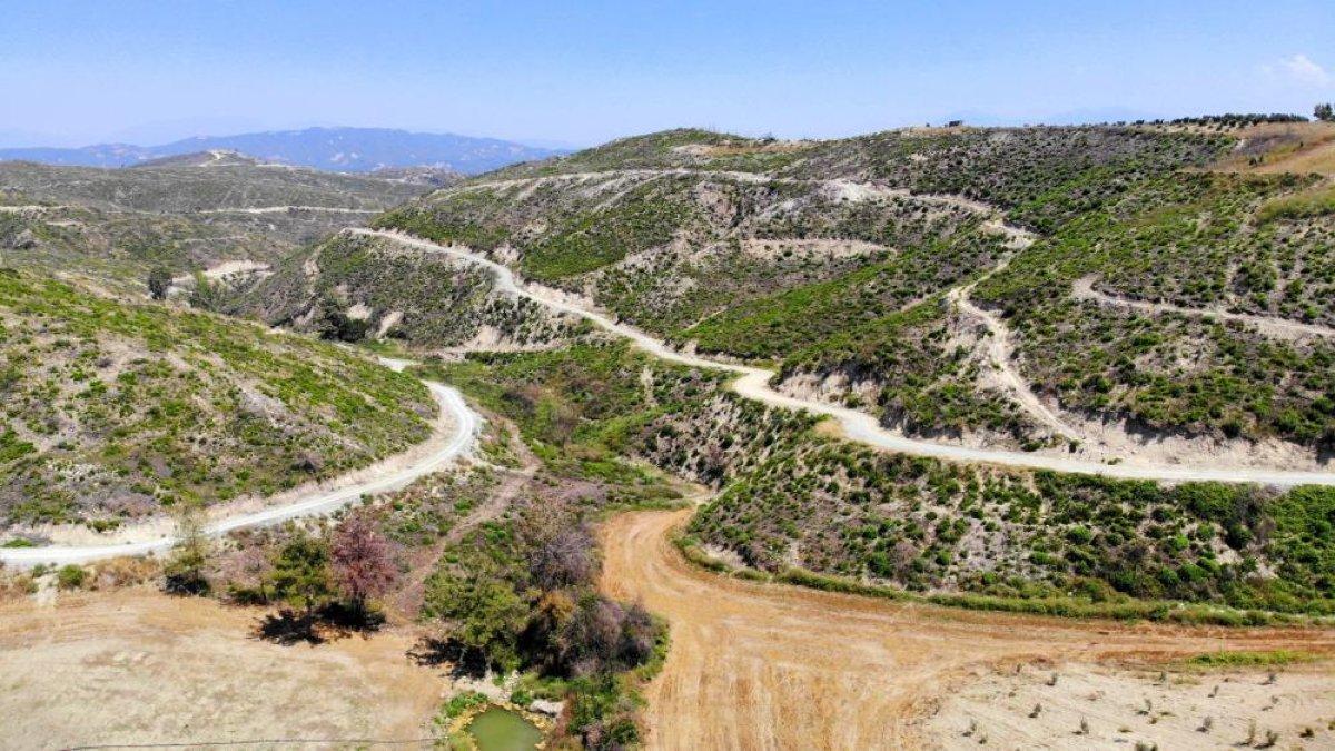 Osmaniye’de yanan ormanlık alan yeşermeye başladı