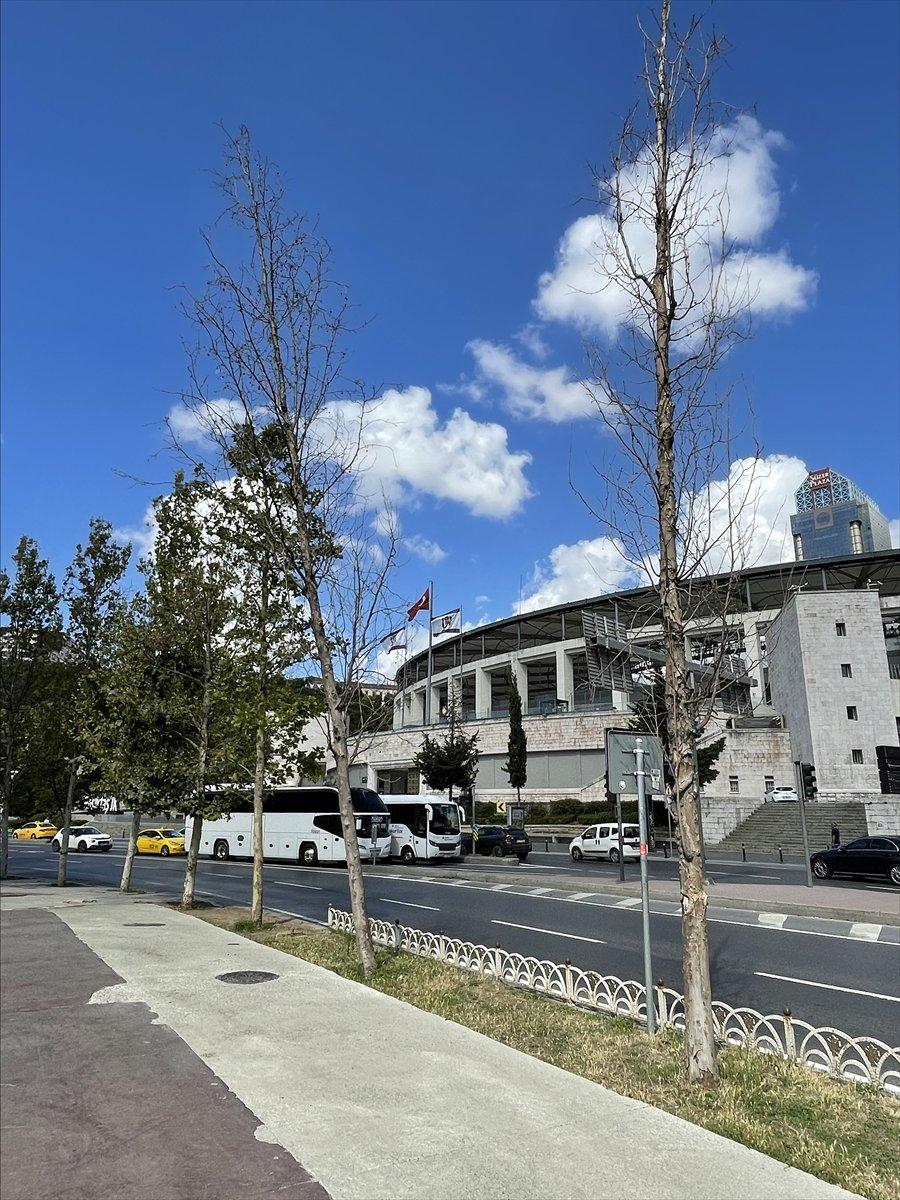 İBB'nin Çırağan'da kestiği ağaçların yerine diktiği fidanlar kurudu