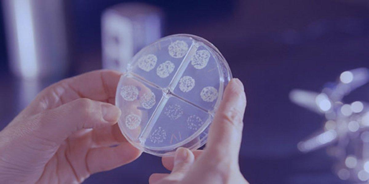 İçme suyundan çıktı! HÜS nedir, belirtileri nelerdir?