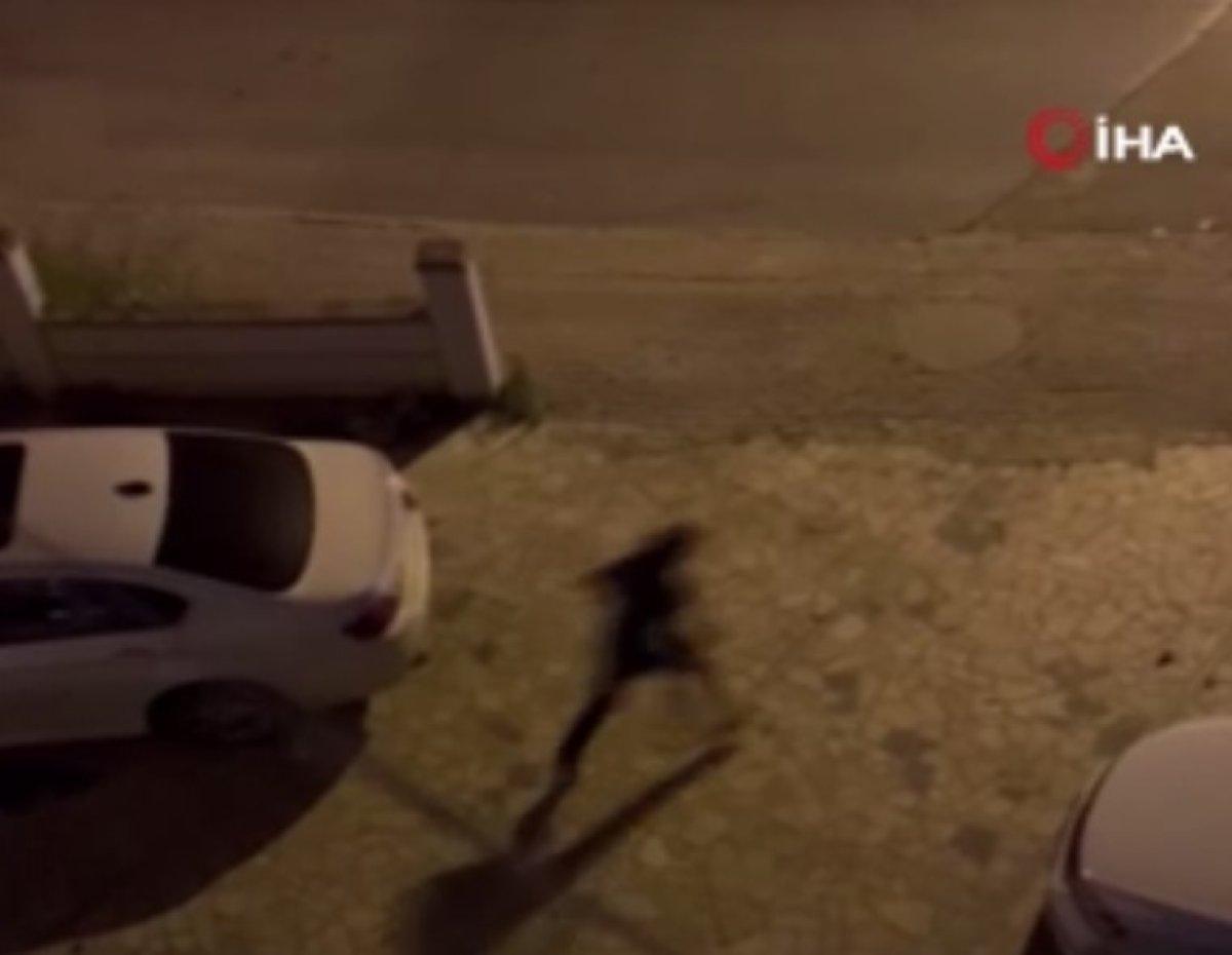 Büyükçekmece’de pişkin hırsızlar kamerada