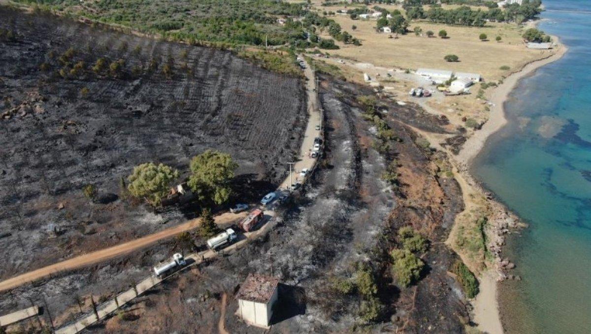 İzmir Seferihisar'da yanan alan havadan görüntülendi