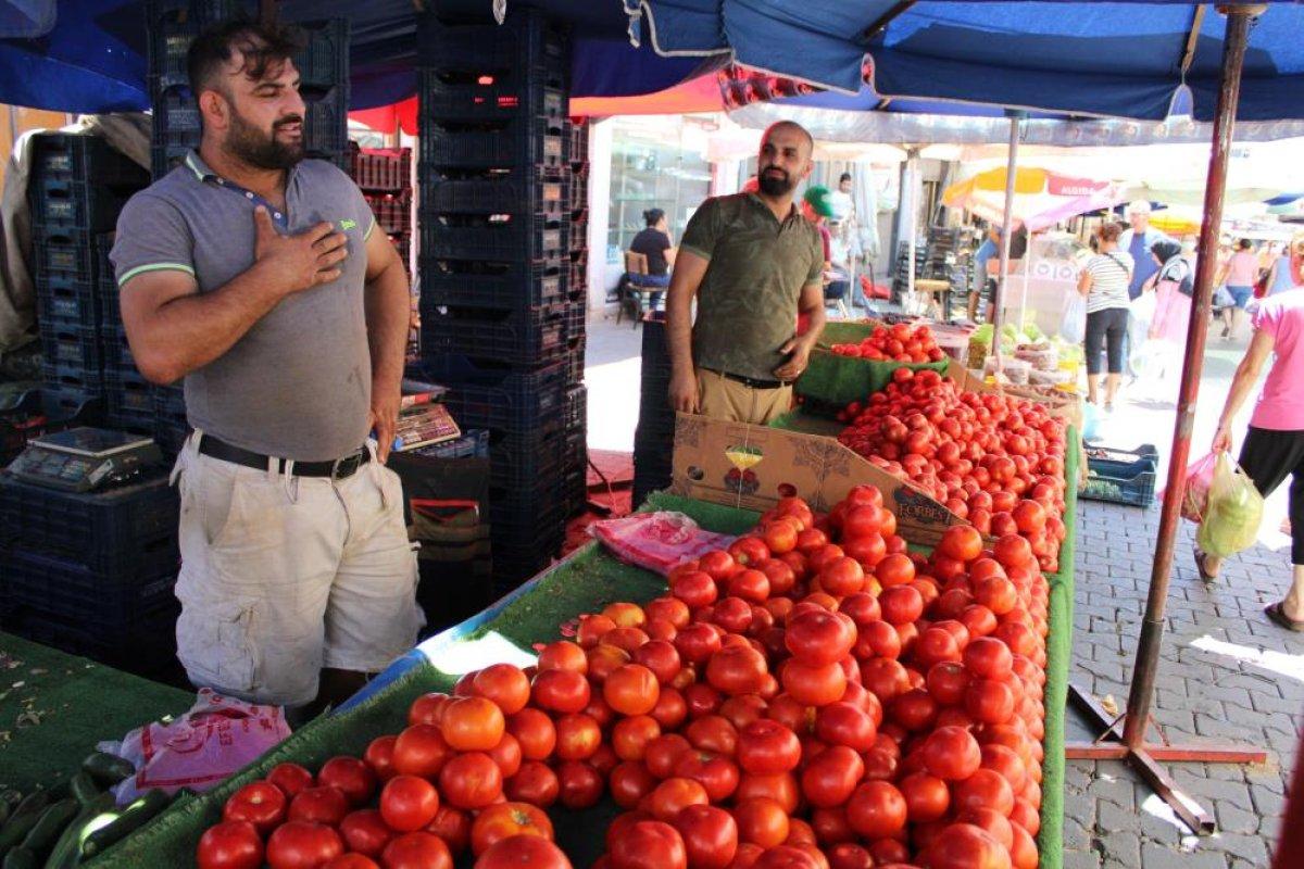 Aydın'da salçalık domatesler 5 TL'den tezgahlardaki yerini aldı