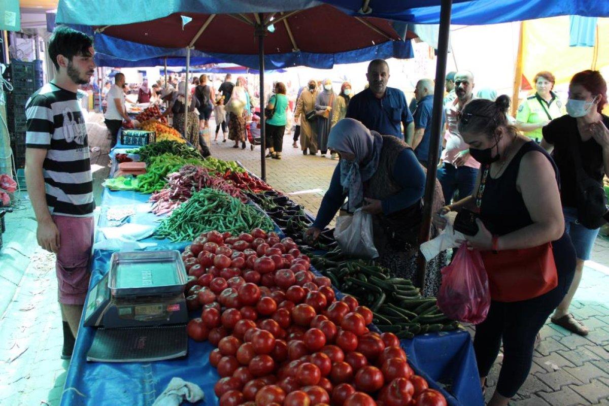 Aydın'da salçalık domatesler 5 TL'den tezgahlardaki yerini aldı