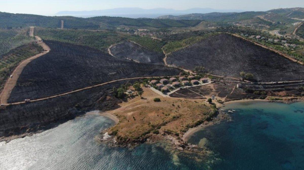 İzmir Seferihisar'da yanan alan havadan görüntülendi