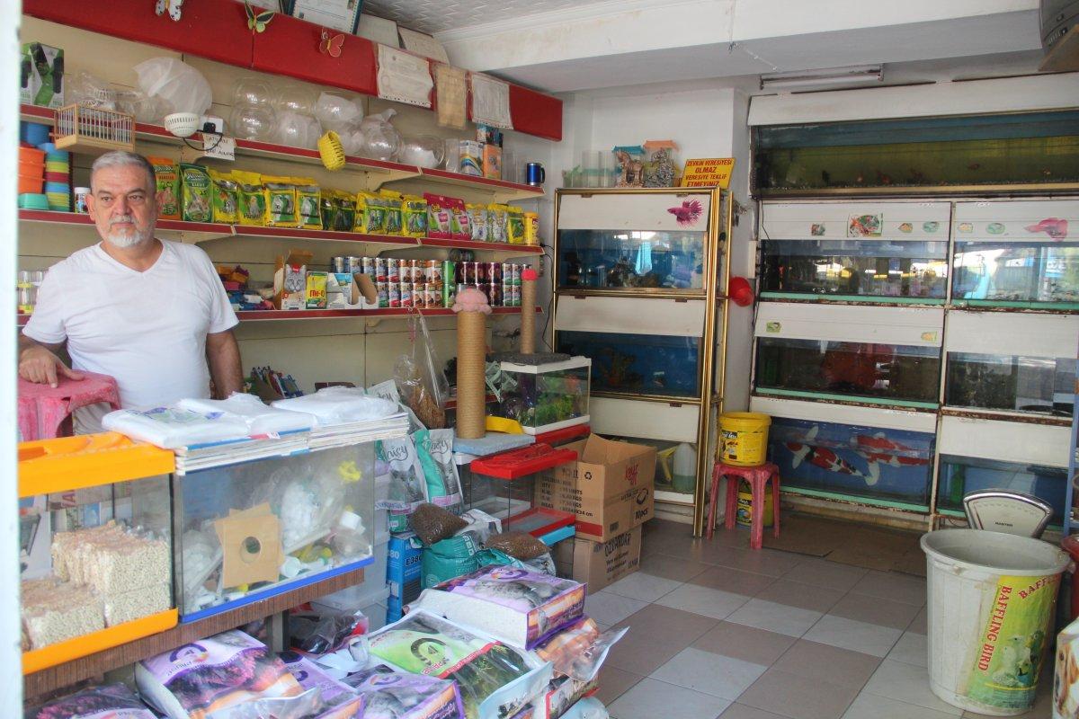 Petshoplar Kasaplar Odası'na bağlandı