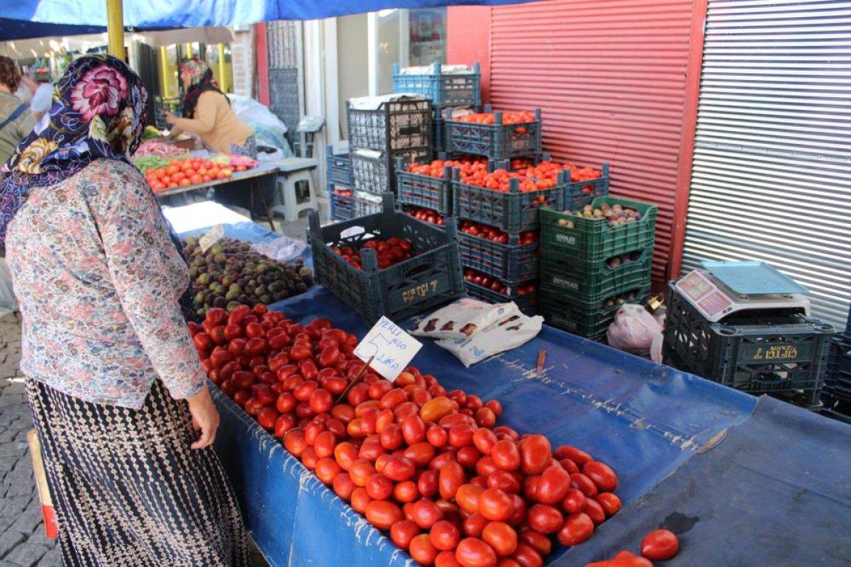 Aydın'da salçalık domatesler 5 TL'den tezgahlardaki yerini aldı