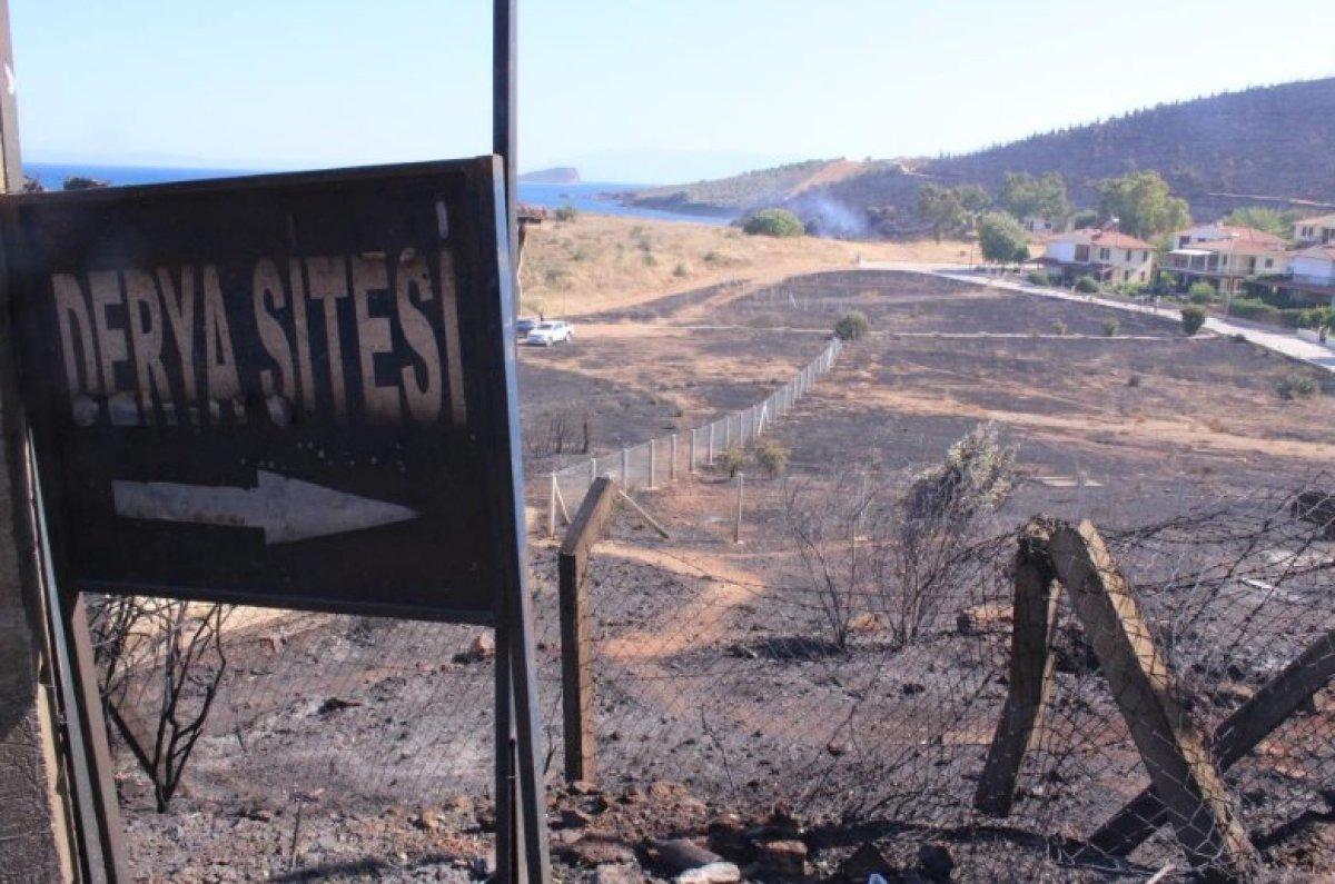 İzmir Seferihisar'da yanan alan havadan görüntülendi