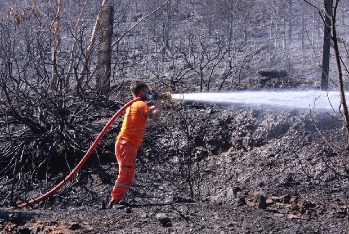 İzmir Seferihisar'da yanan alan havadan görüntülendi