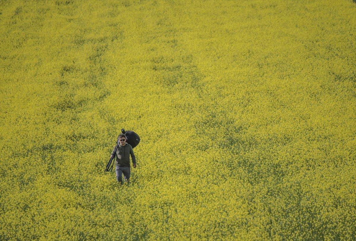 Kars'ta bitki çeşitliliği görsel şölen sunuyor