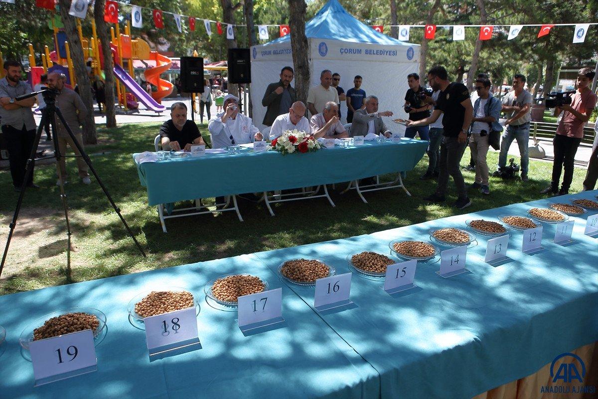 Çorum'un en iyi leblebi üreticileri belirlendi