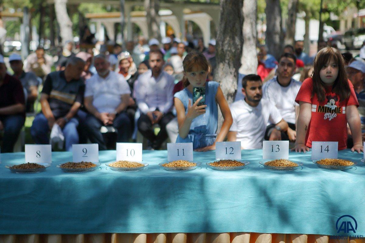 Çorum'un en iyi leblebi üreticileri belirlendi