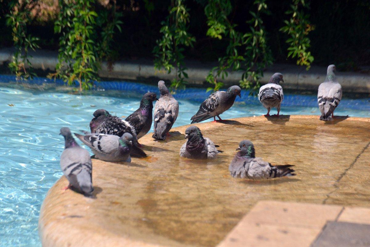 Adana’da termometreler 42 dereceyi gösterdi